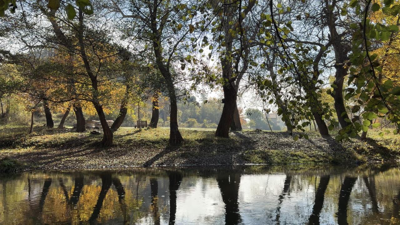 Златна есен