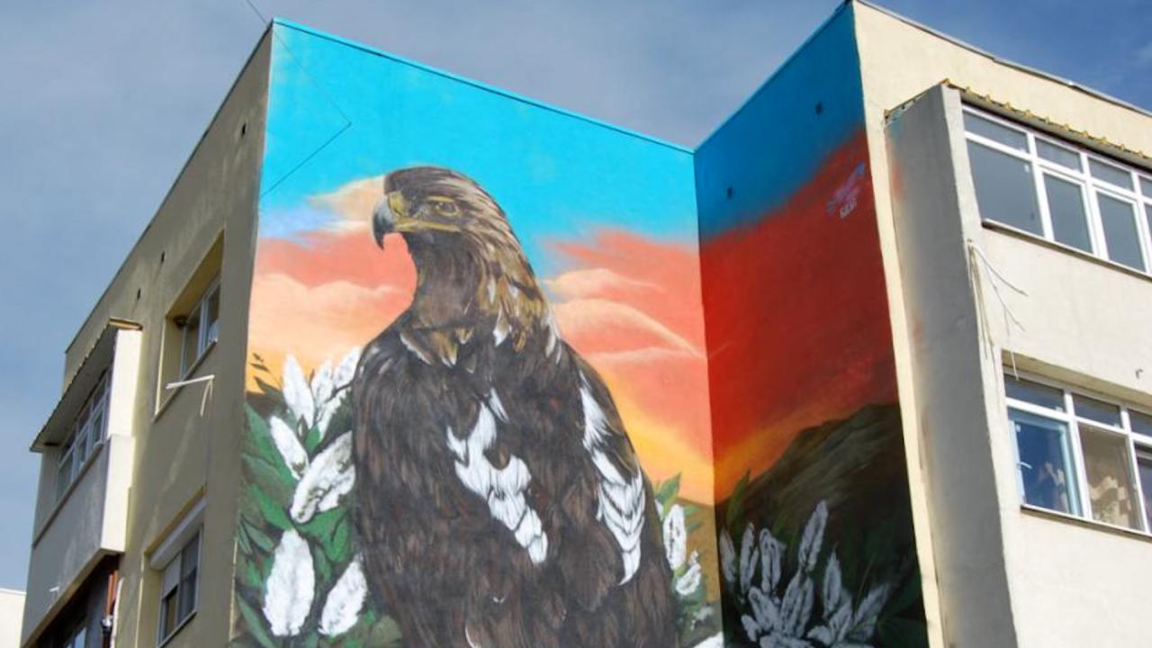 Графит на царски орел в Тополовград