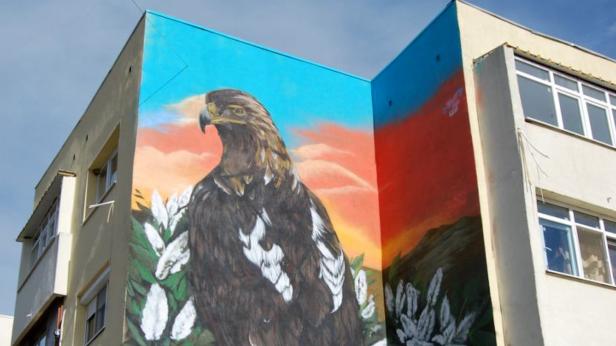 Графит на царски орел краси Тополовград