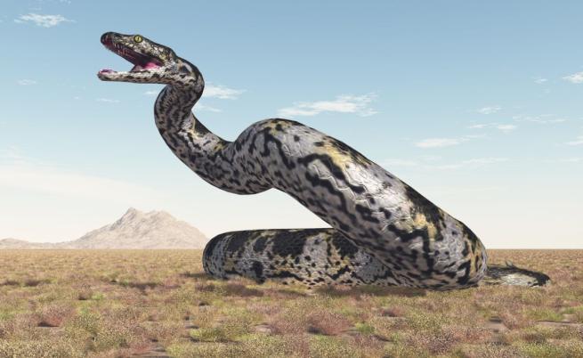 Митът за 15-метровата змия в Конго: Звяр, нападащ хеликоптери