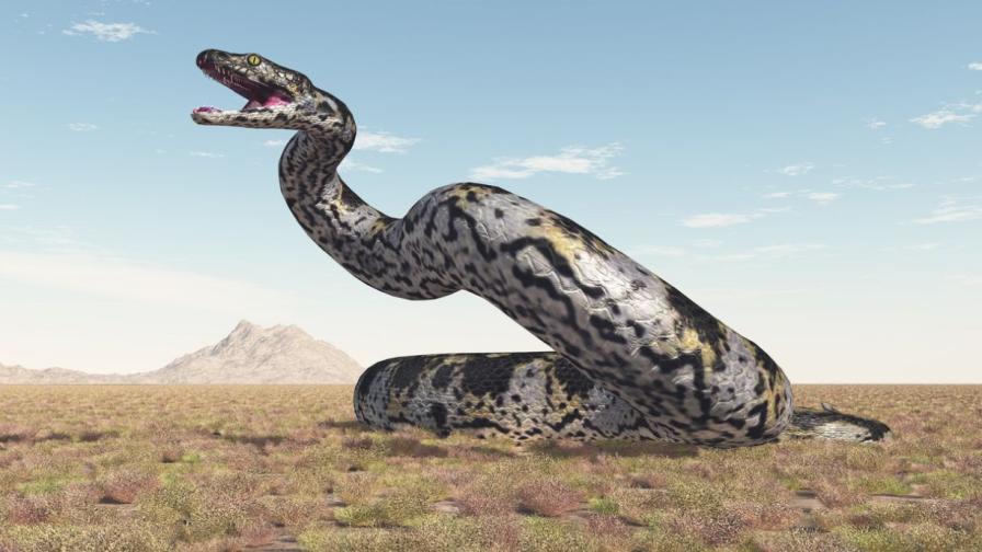 Митът за 15-метровата змия в Конго: Звяр, нападащ хеликоптери