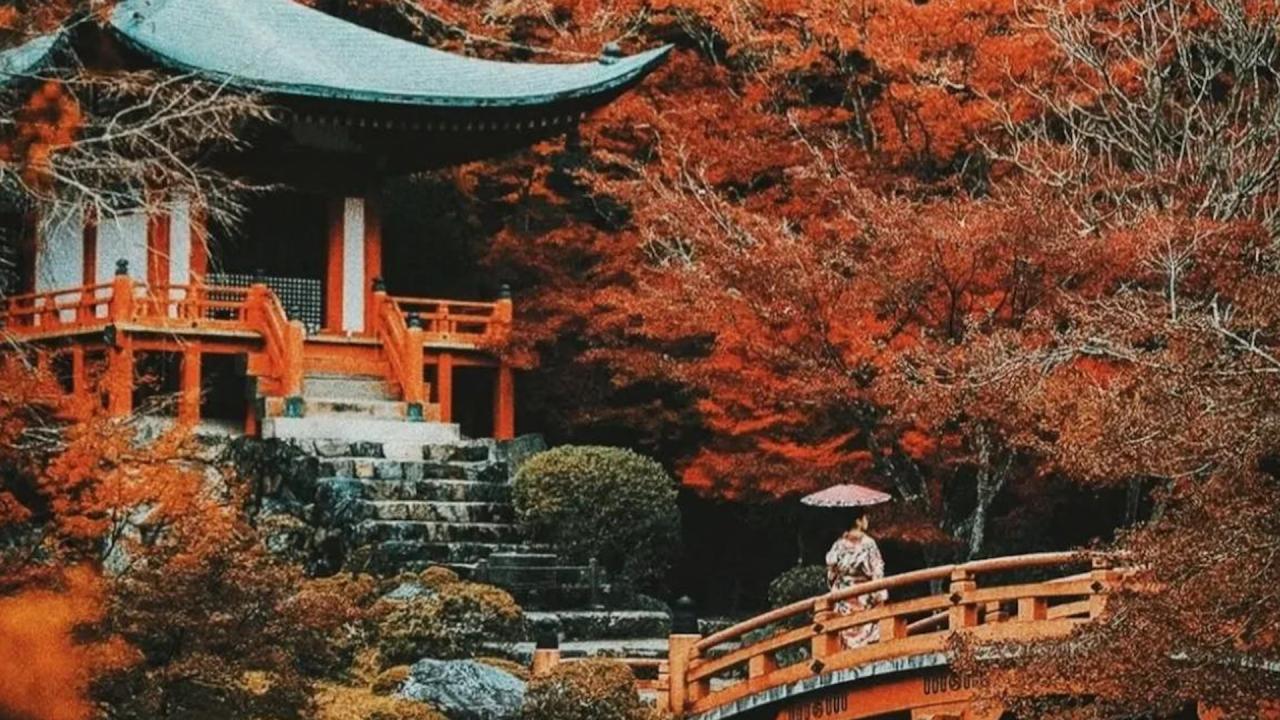 Ноември в Япония