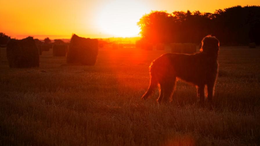 Снимката е илюстративна