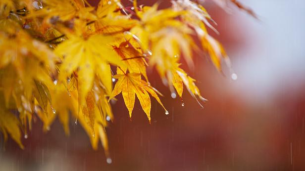 Дъжд в следващите 48 часа