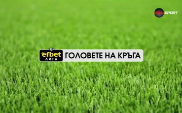 Головете на кръга (15-и кръг, 11.11.2025)