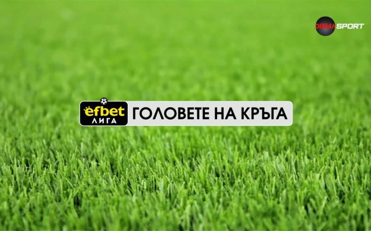 Головете на кръга (15-и кръг, 11.11.2025)