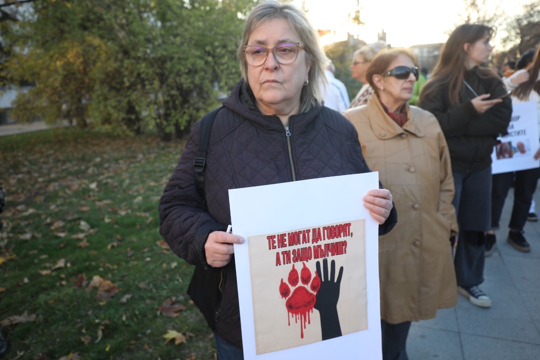 <p>Протест срещу насилието над животни се проведе пред ВМА. Протестът е организиран от &quot;Приятели на Мечо&quot; и &quot;Невидими животни&quot;. Повод за недоволството е прегазването на кучето Мая в София. Протестиращите искат &quot;Справедливост за Мая&quot;. Протестиращите настояват ВМА да уволни доктор Ненад Цоневски, който беше заснет да минава с автомобил през кучето пред гараж в квартал &quot;Разсадника&quot;.</p>