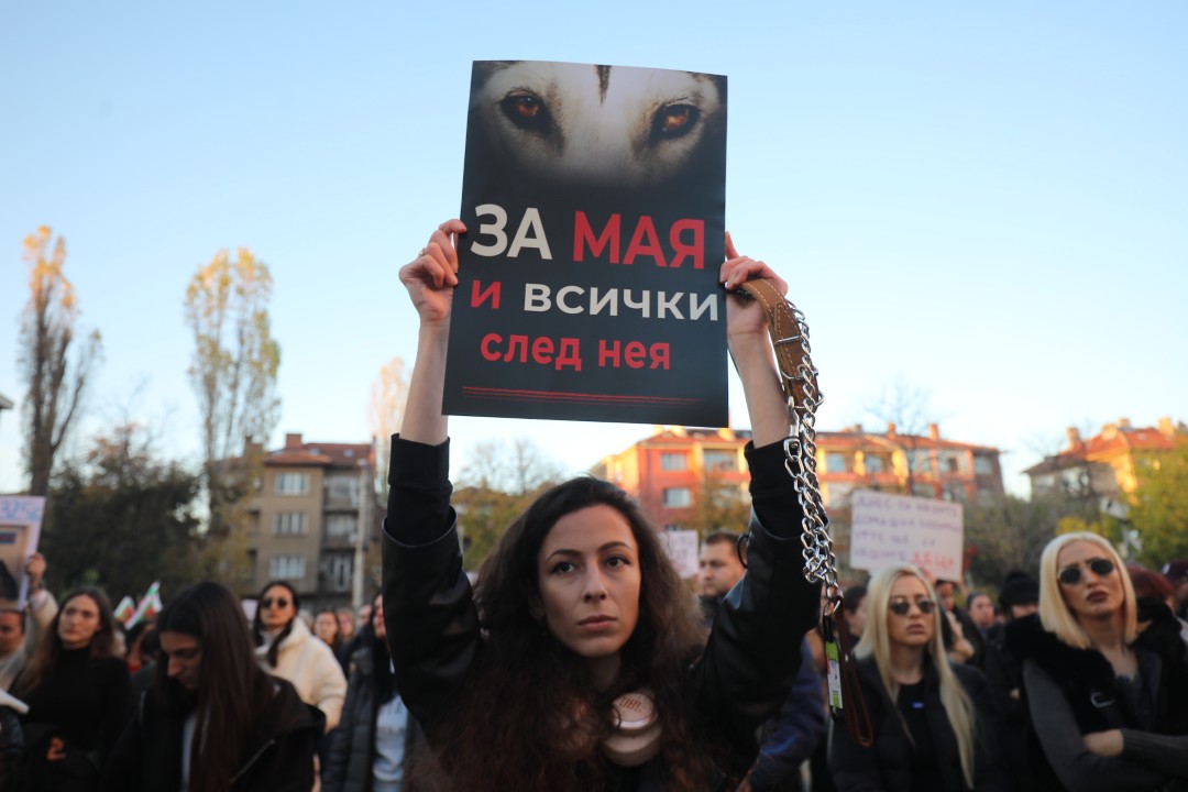 <p>Протест срещу насилието над животни се проведе пред ВМА. Протестът е организиран от &quot;Приятели на Мечо&quot; и &quot;Невидими животни&quot;. Повод за недоволството е прегазването на кучето Мая в София. Протестиращите искат &quot;Справедливост за Мая&quot;. Протестиращите настояват ВМА да уволни доктор Ненад Цоневски, който беше заснет да минава с автомобил през кучето пред гараж в квартал &quot;Разсадника&quot;.</p>