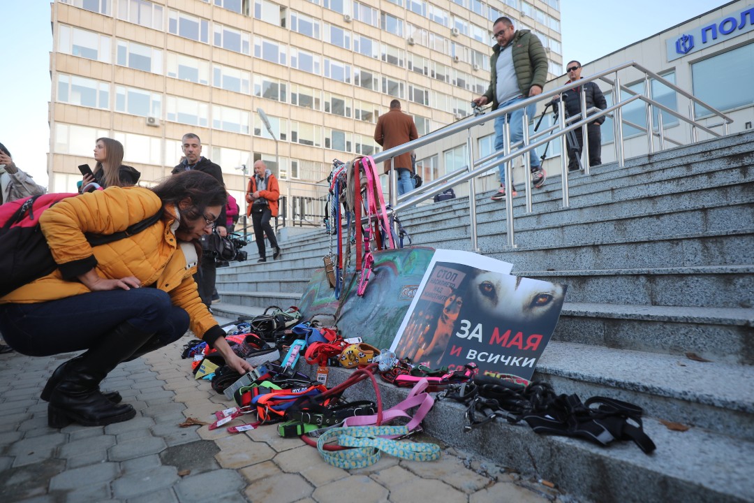 <p>Протест срещу насилието над животни се проведе пред ВМА. Протестът е организиран от &quot;Приятели на Мечо&quot; и &quot;Невидими животни&quot;. Повод за недоволството е прегазването на кучето Мая в София. Протестиращите искат &quot;Справедливост за Мая&quot;. Протестиращите настояват ВМА да уволни доктор Ненад Цоневски, който беше заснет да минава с автомобил през кучето пред гараж в квартал &quot;Разсадника&quot;.</p>