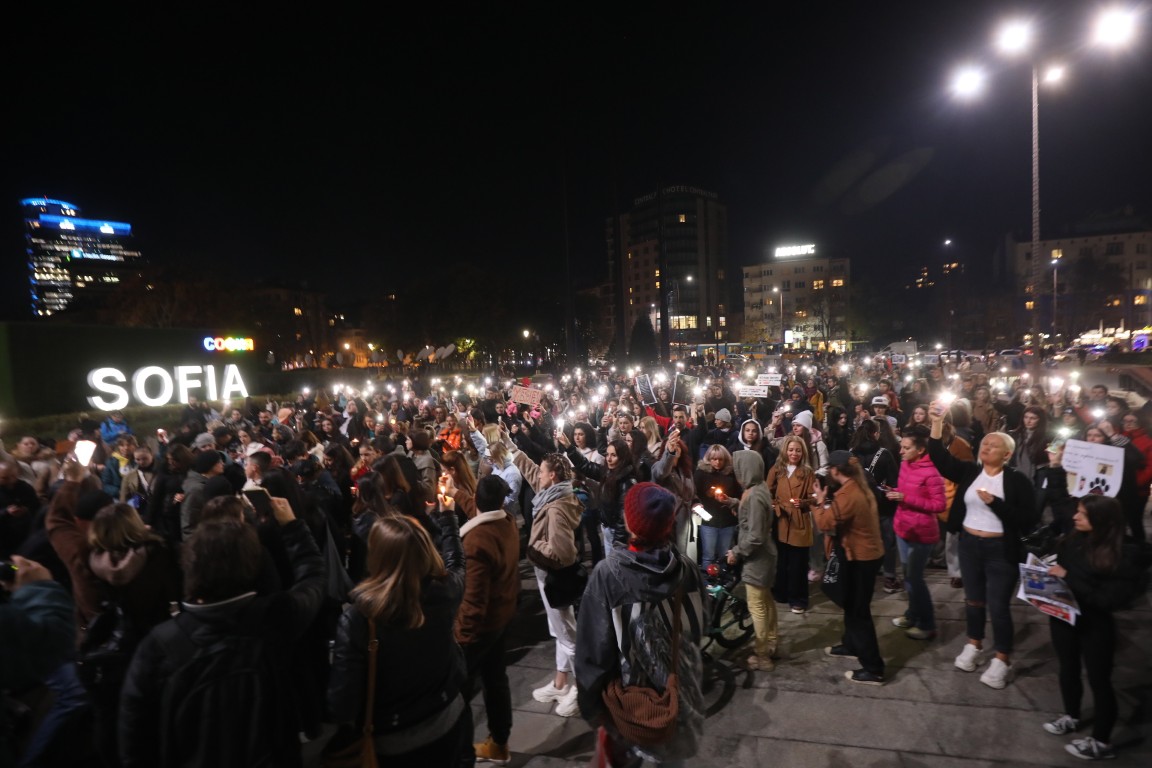 <p>Под надслов &bdquo;Справедливост за Мая&ldquo; граждани се събраха пред Военномедицинска академия (ВМА) на протест срещу жестокостта към животните. Събралите се протестиращи преминаха с шествие до НДК, където протестът приключи.</p>