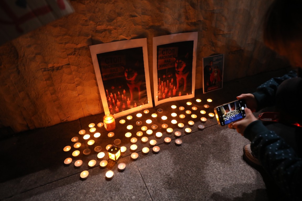 <p>Под надслов &bdquo;Справедливост за Мая&ldquo; граждани се събраха пред Военномедицинска академия (ВМА) на протест срещу жестокостта към животните. Събралите се протестиращи преминаха с шествие до НДК, където протестът приключи.</p>