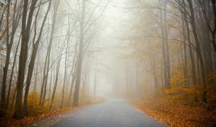 Внимание: 11 области с жълт код за гъста мъгла