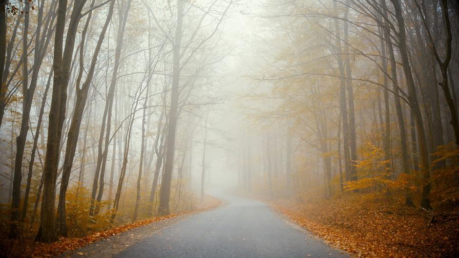 Внимание: 11 области с жълт код за гъста мъгла