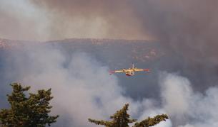 Пилотът, загинал в Хърватия, имал и българско гражданство