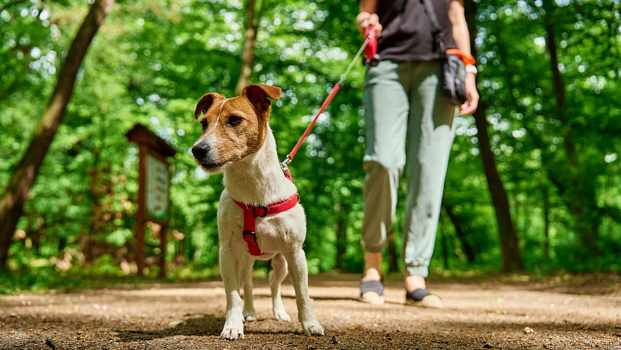 <p>Затова си струва да отворите завесите, да прекарвате повече време навън или поне да направите кратка сутрешна разходка.</p>