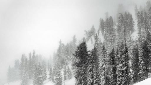 Петима туристи загинаха по време на снежна буря в Чили