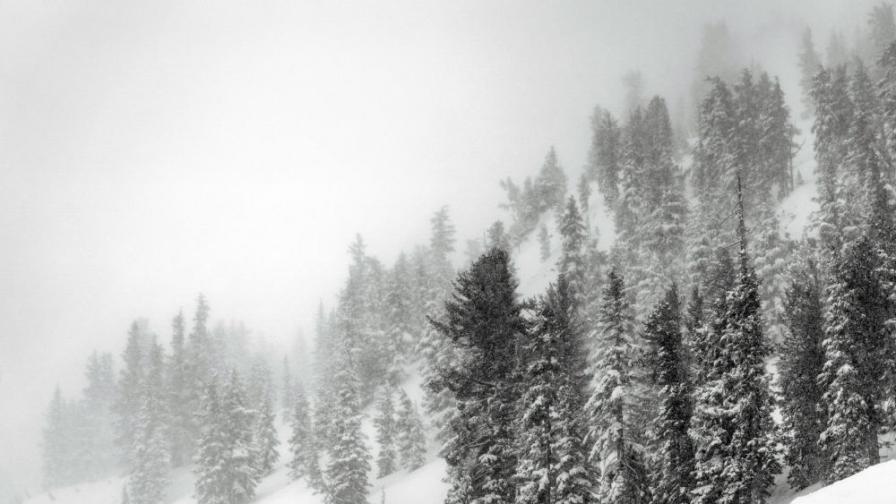 Петима туристи загинаха по време на снежна буря в Чили