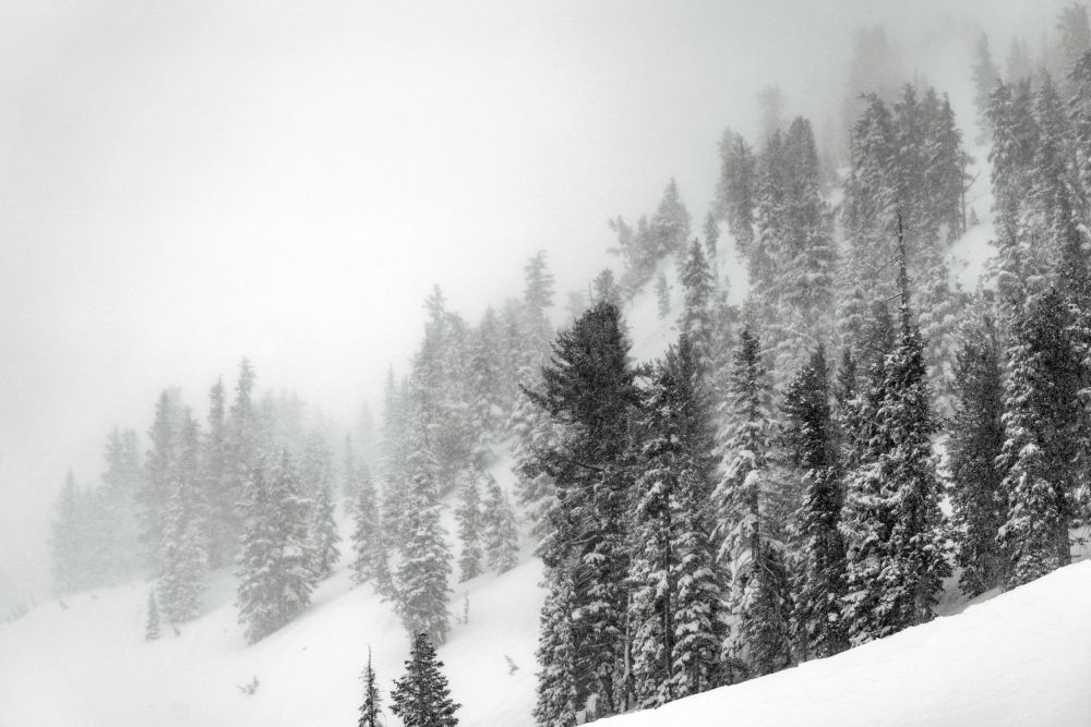 Петима туристи загинаха по време на снежна буря в Чили