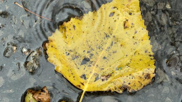 Усещане за зима в края на ноември