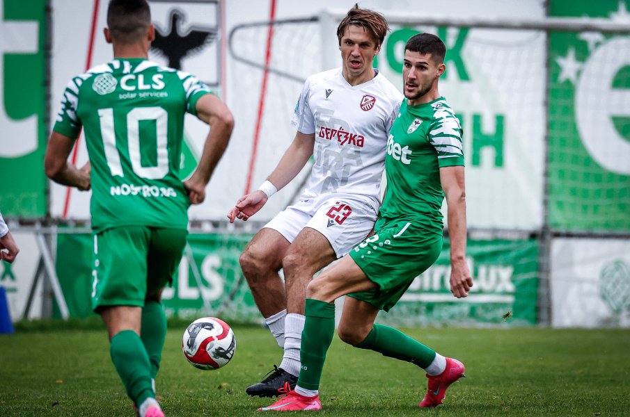 Пирин Фратрия1