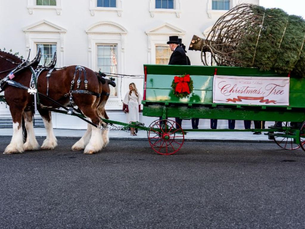 Мелания Тръмп посрещна коледното дърво на Белия дом
