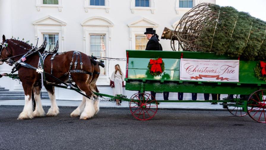 Мелания Тръмп посрещна коледното дърво на...