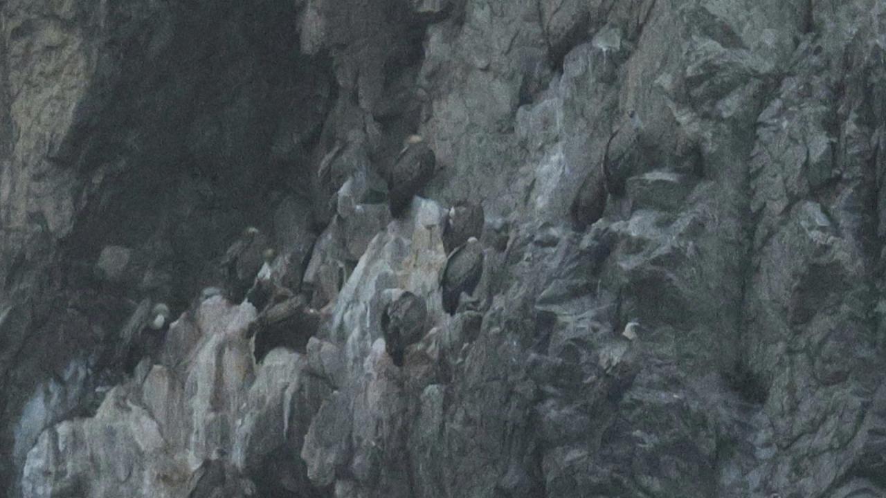 Лешояди в Кресненския пролом