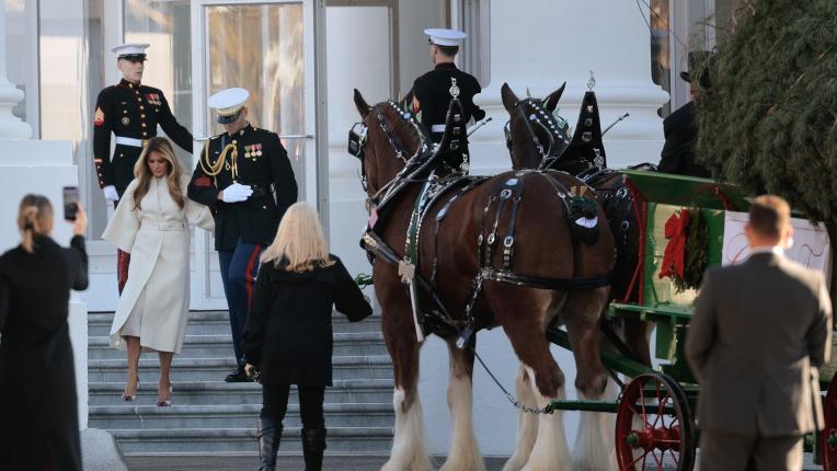 Мелания Тръмп посрещна коледната елха в елегантно палто за милиони (СНИМКИ)
