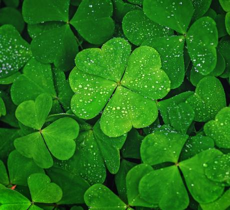 Четвъртък е денят в който мислите ни се подреждат по ясно