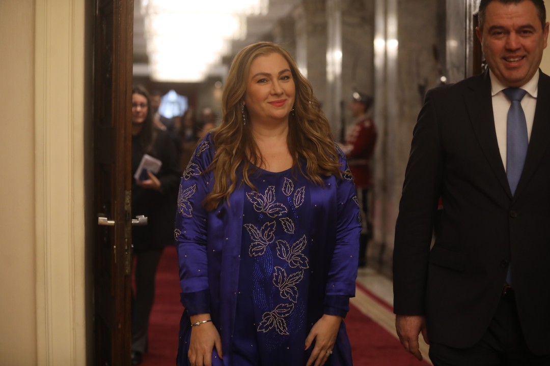 <p>Президентът Румен Радев удостои с орден &bdquo;Мадарски конник&ldquo; първа степен посланика на Ирак Лина Омар на церемония в Гербова зала. Държавното отличие се връчва на дипломата за нейните заслуги за развитието на двустранните отношения.</p>