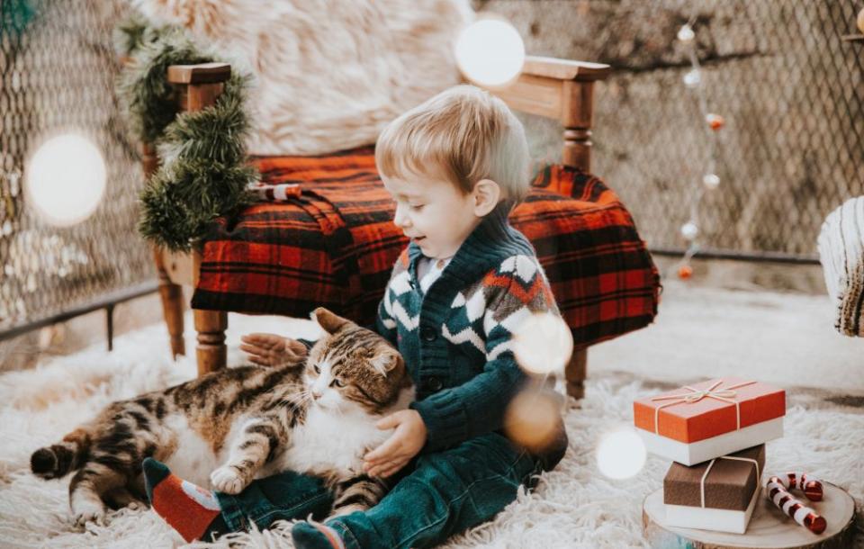 коледна фотосесия