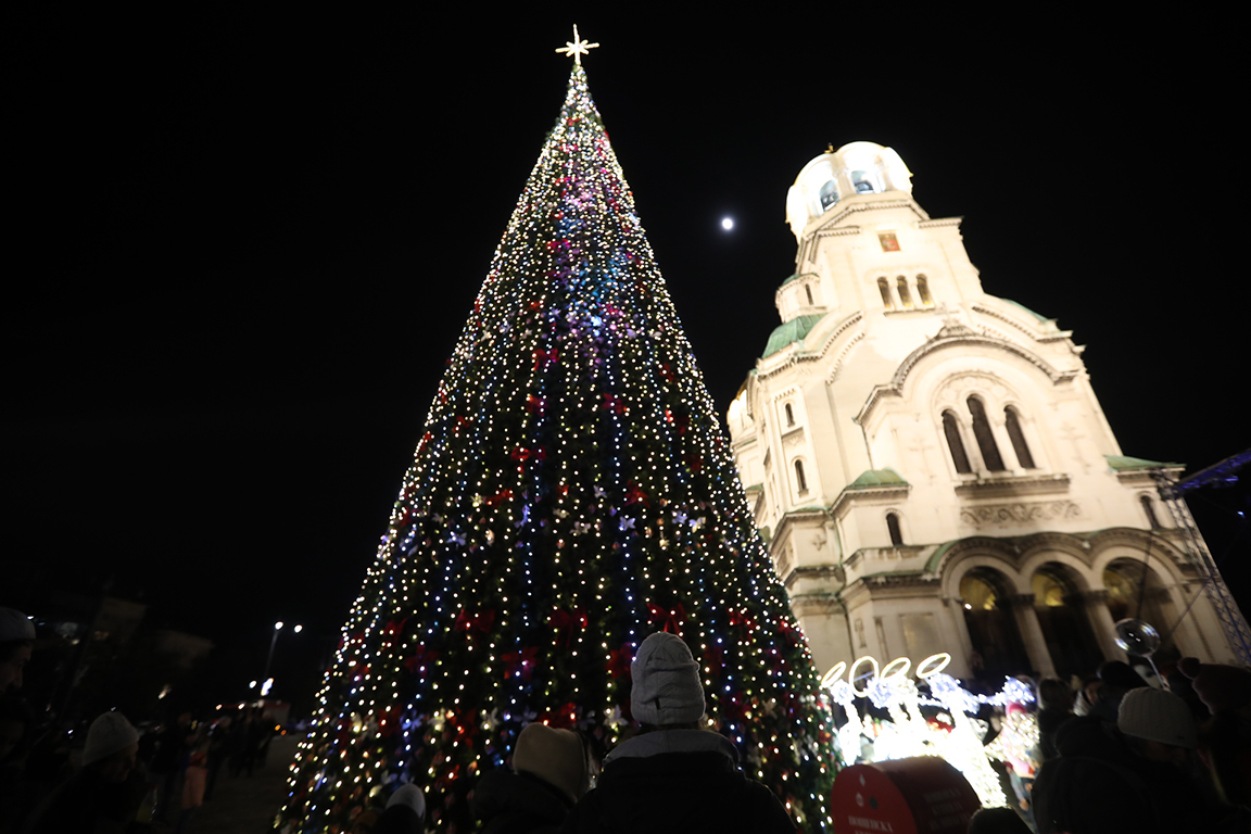 <p>София елха</p>