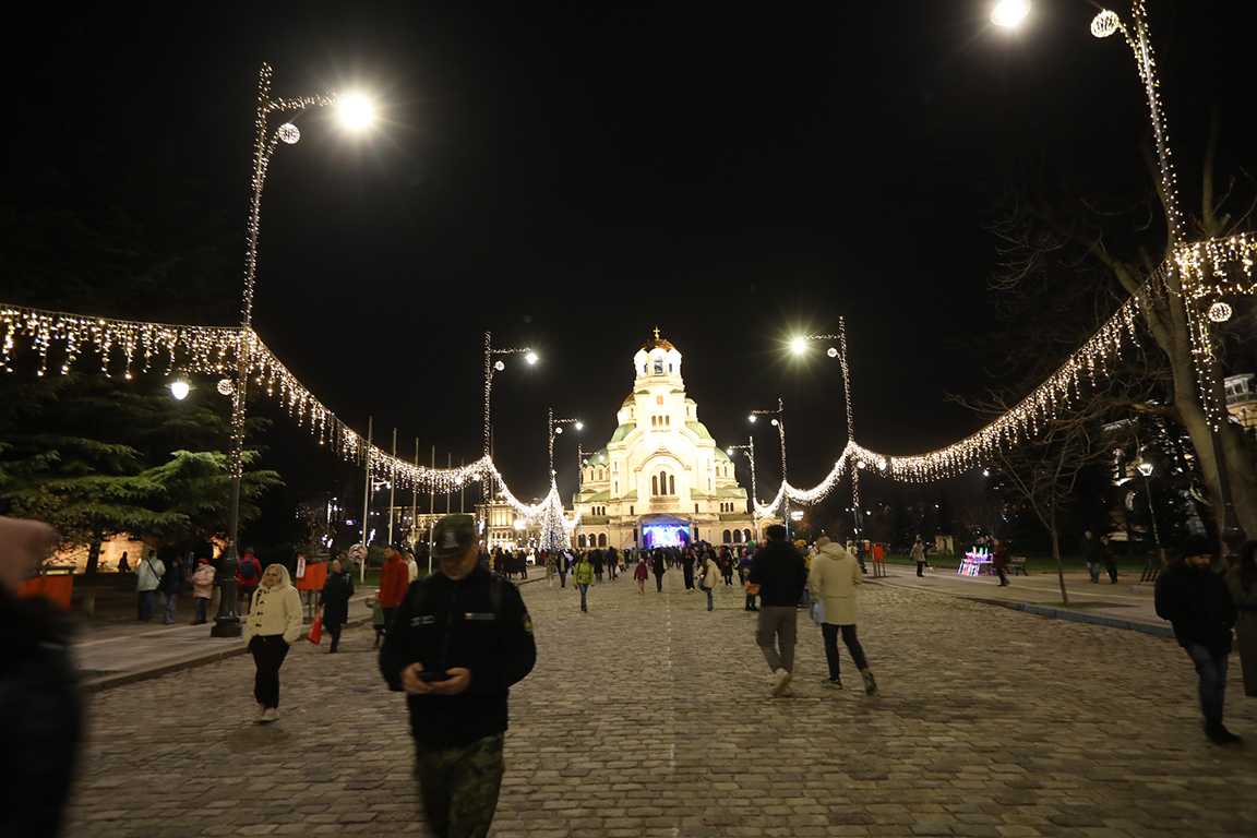 <p>София елха</p>