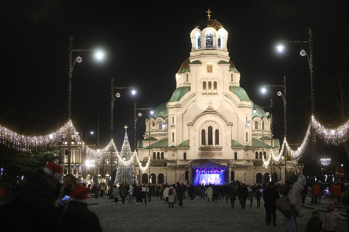 <p>София елха</p>