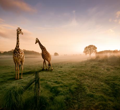 Проблемите на околната среда все по често намират място на