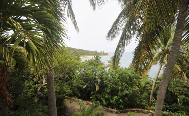 Десетки нови снимки от острова на Джефри Епстийн разкриват 