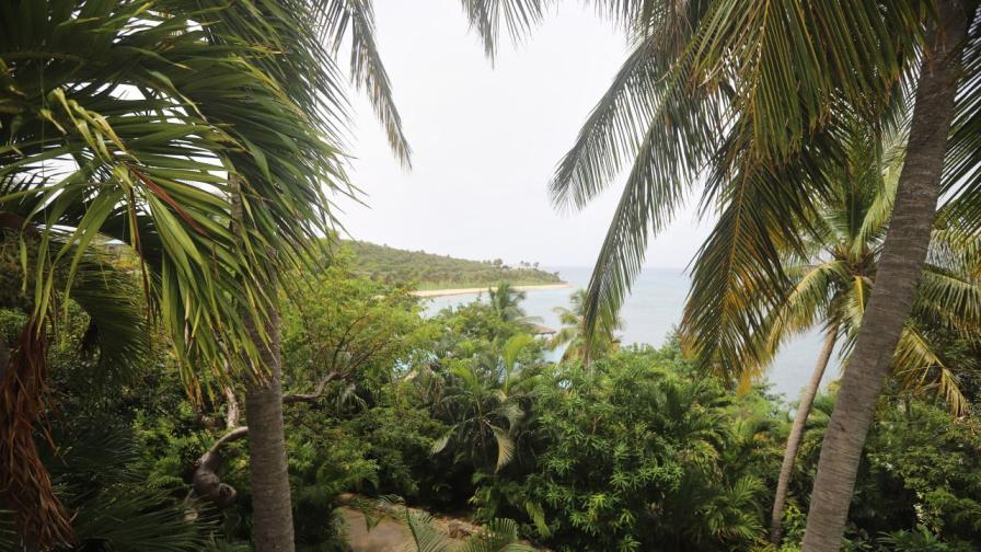 <p>Прочетете зловещите съобщения, надраскани на черна дъска на частния остров на Епстийн</p>