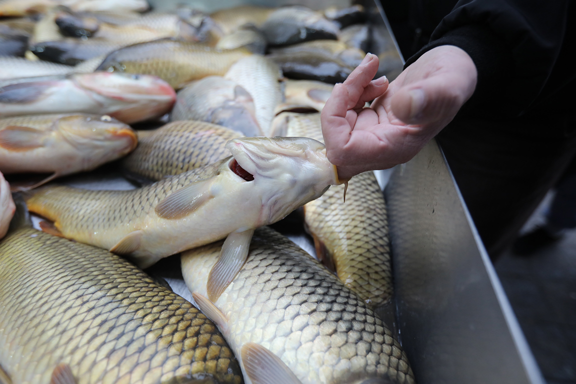 <p>Никулден</p>