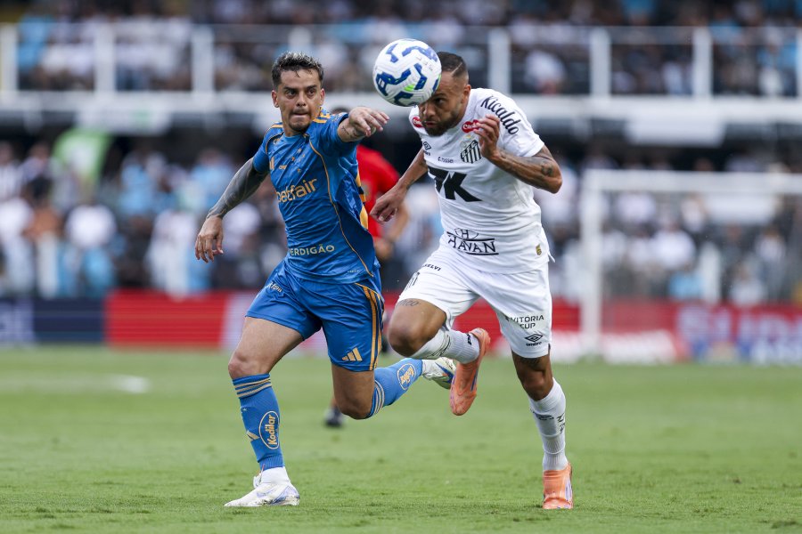 Сантос Крузейро1