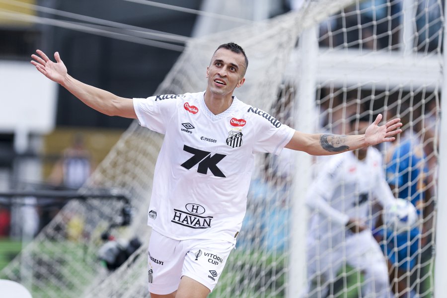 Сантос Крузейро1