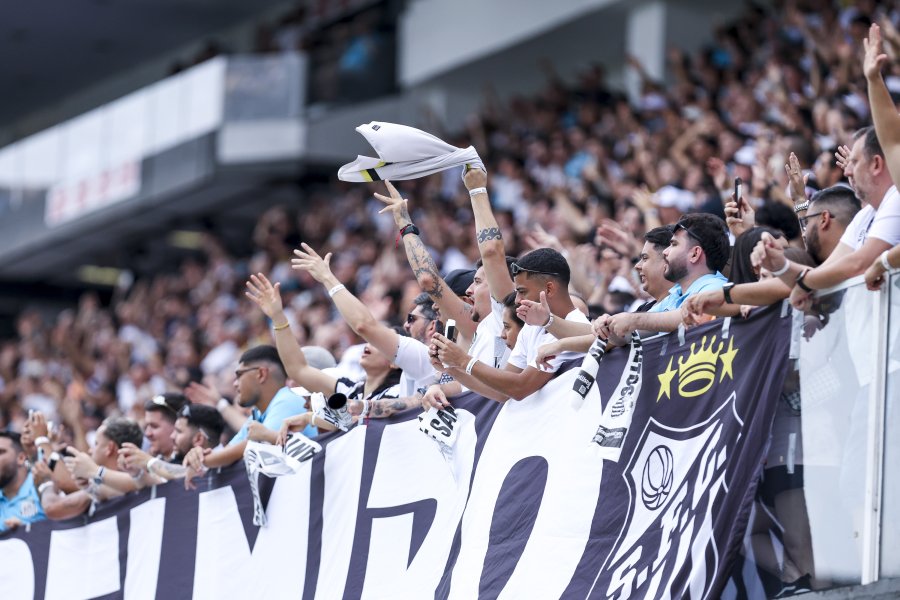 Сантос Крузейро1