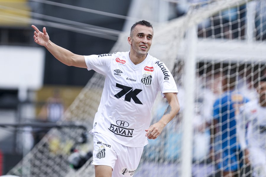 Сантос Крузейро1