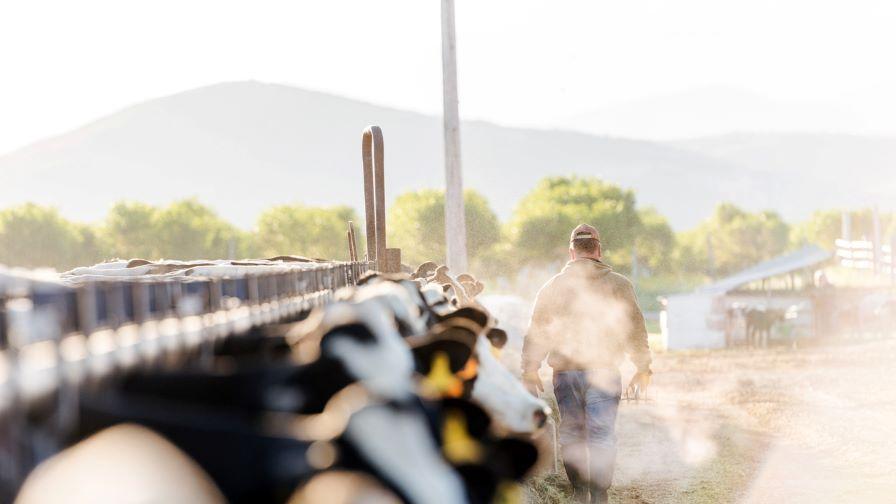 Тръмп обяви пакет от субсидии за $12 млрд. за американските фермери