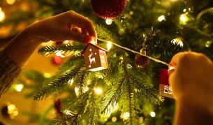 <p>Жива коледна елха вкъщи &ndash; какви са рисковете за здравето ви</p>
