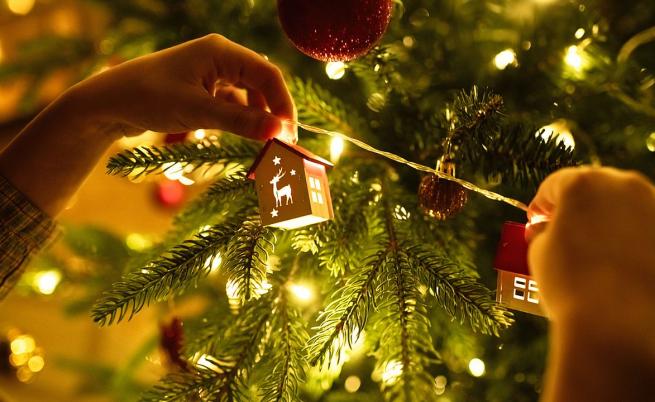 Жива коледна елха вкъщи – какви са рисковете за здравето ви