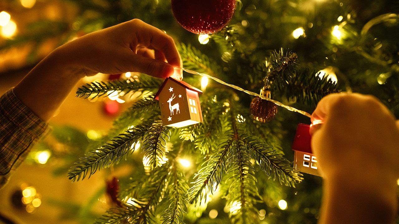 Жива коледна елха вкъщи – какви са рисковете за здравето ви