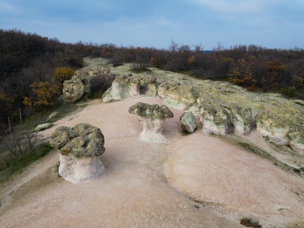 Каменните гъби