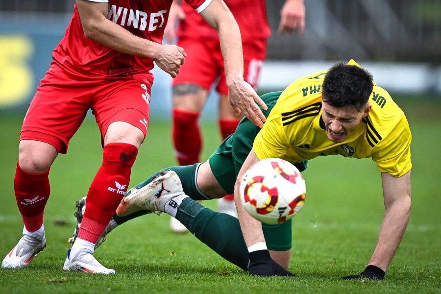 Добруджа Ботев Враца1