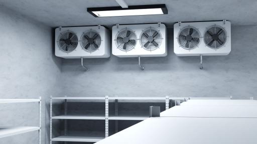 Жена е намерена гола и мъртва във фризер в Маями