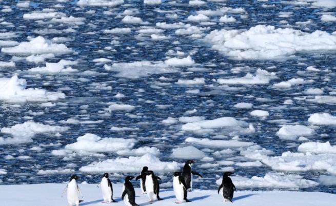 Търсите нов живот? Има нови свободни работни места в Антарктида за 2026 г.